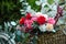 Bouquet of bright colourful colours made from soap in basket of old vintage bike