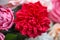 Bouquet of bright colourful colours made from soap in basket of old vintage bike