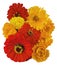 A bouquet of bright flowers calendula and zinnias