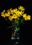 Bouquet of bright fresh yellow flowers on black background. Jerusalem artichoke flowers in glass transparent vase