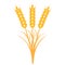 Bouquet bunch of ears of wheat with the stems and leaves of ripe yellow color, vector the concept of the harvest of crops