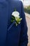 Bouquet of calla lilies or gannets. Zantedeschia aethiopica,calla lily,gannet, Boutonniere.