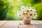 Bouquet of camomile flowers on wood table in nature green backgr