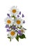 Bouquet of camomiles on white background