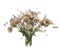 Bouquet of canadian thistle, feather grass and hare`s-foot clover on a white background
