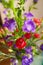 Bouquet of Canterbury bells purple flower blooming Campanula medium and red small carnations. Unpretentious and delicate violet