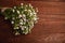 Bouquet of chamomile flowers, which lies on a wooden table