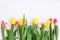 Bouquet of colored tulips on a white background. Spring flowers. Colored tulips, Lovely tulip flowers composition. Valentines Day