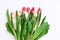 Bouquet of colored tulips on a white background. Spring flowers. Colored tulips, Lovely tulip flowers composition. Valentines Day