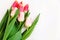 Bouquet of colored tulips on a white background. Spring flowers. Colored tulips, Lovely tulip flowers composition. Valentines Day