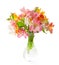 Bouquet of colorful Alstroemeria flowers in a transparent glass vase isolated on white background