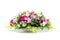 Bouquet of colorful carnation flowers in white vase