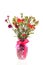 Bouquet colorful Dianthus