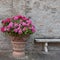 Bouquet of colorful flowers and a bench in a garden Italy