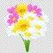 Bouquet of colorful flowers, vector drawing. Bright meadow buds yellow and white chamomile, cosmos pink flowers and