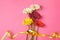 bouquet of colorful Gerbera flowers tied with yellow ribbon, mothers day concept