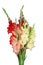 Bouquet with colorful gladiolus