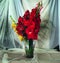 Bouquet with colorful gladiolus