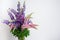 Bouquet of colorful lupines on white. Copy space