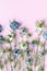 Bouquet of colorful nigella flowers on pink background. Minimalistic floral composition, top view and flat lay