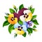 Bouquet of colorful pansy flowers. Vector illustration.