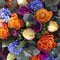 bouquet of colorful spring flowers. tulip, ranunculus, hyacinth, daisy, anemone.
