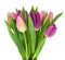 Bouquet of colorful spring Tulip flowers with green leaves on stem isolated on a white background