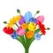 Bouquet of colorful tulips, gerbera flowers and cornflowers. Vector illustration.