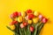 A bouquet of colorful tulips on a yellow background