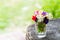 Bouquet of colourful garden flowers in a glass on old tree trunk