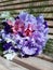 Bouquet composed of pink, violet and white sweet peas (Lathyrus odoratus) and blue cornflowers or bachelor\\\'s