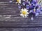 Bouquet of cornflowers, border chamomile on a black wooden background