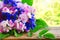 Bouquet of cornflowers and sweet peas, on wooden table near wind