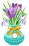 A bouquet of crocuses and snowdrops with leaves in a vase, violet saffron flower. Spring flowers flat illustration used