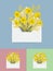 Bouquet of daffodils and mimosa in the postal envelope
