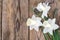 Bouquet of daffodils on wooden background