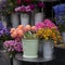 Bouquet of dahlias in a galvanized bucket stands on a chair near the entrance to the store.