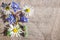 Bouquet of daisies and blue flowers of cucumber grass on a wooden background vintage,