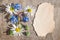 Bouquet of daisies and blue flowers of cucumber grass on a wooden background vintage,