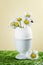 Bouquet of daisies in an eggshell.