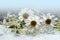 A bouquet of daisies and grass blades on a background of glass with water droplets. Beautiful delicate transparent floral backgrou