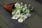 Bouquet of daisies lying on the old, moss-covered, boards.