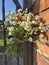 A bouquet of daisies, poppies and wheat on a gate handle near a wooden wall