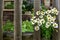 A bouquet of daisies sprouting through a wooden fence against the backdrop of a rustic landscape. Wonderful rural sketch.