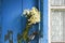 Bouquet of daisies stuck in the handle of the closed door of the old wooden house