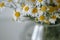 Bouquet of daisies in a vase.