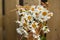 Bouquet of daisies on white wooden fence