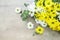 Bouquet daisy chamomile flowers on wooden garden table.