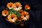 Bouquet of daisy flowers - African Daisy; Dimorphotheca Sinuata