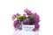 bouquet of different blooming spring lilacs on white background
